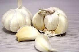 Growing Garlic from a clove